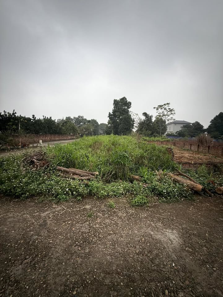 Đất nền Khu 5 Thanh Đình 110.4m² giá 1.35 tỷ - Đất 2 mặt tiền thoáng mát