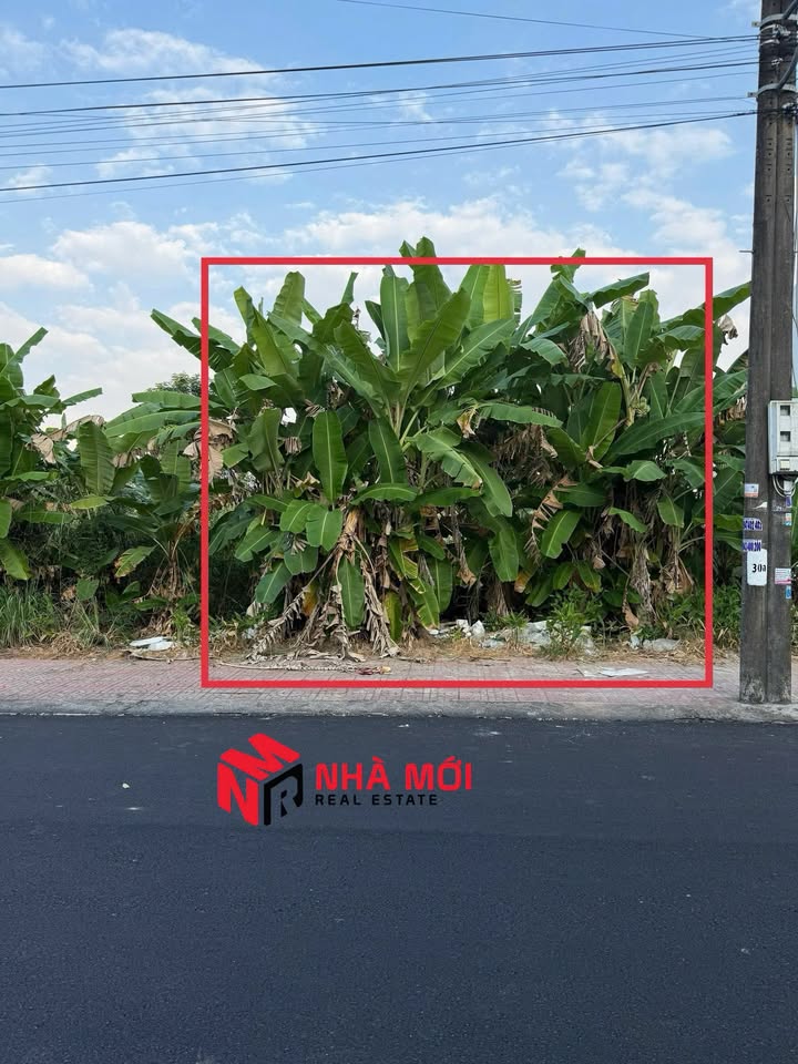 Đất nền KDC LICOGI Cà Mau 93m² giá 1.3 tỷ - Vị trí đắc địa gần trường chuyên