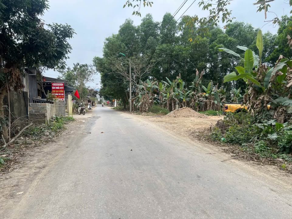 Đất thổ cư 93m² QL 17 Thái Bình giá chỉ 1 tỷ - Đầu tư sinh lời hấp dẫn!