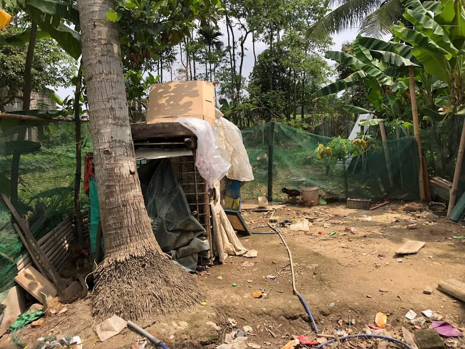 Lô đất đẹp tại Phường Quảng Đông, TP Thanh Hóa 108m² giá 1.4 tỷ - Cơ hội đầu tư không thể bỏ lỡ!