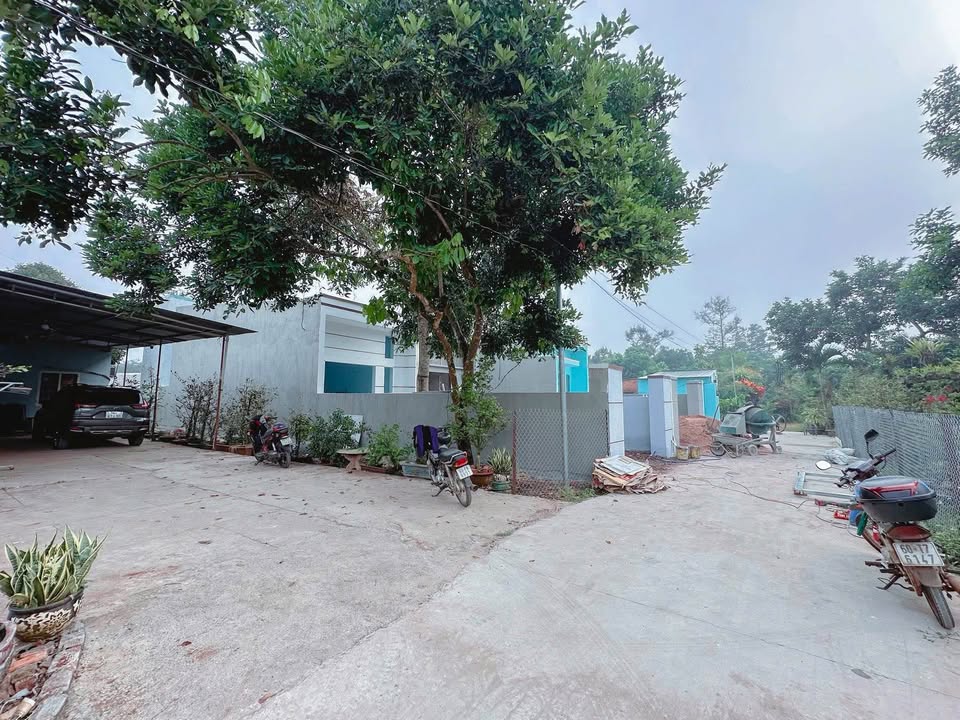 Nhà thổ cư Bình Lộc 125m² giá 1.35 tỷ - Sổ riêng, chính chủ!