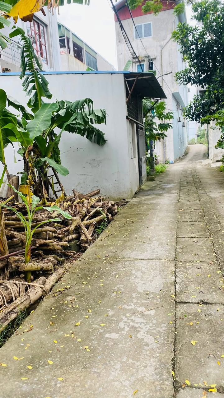 Đất nền Nguyễn Thượng Hiền, Quận 3, 83m² - Cơ hội đầu tư hấp dẫn!