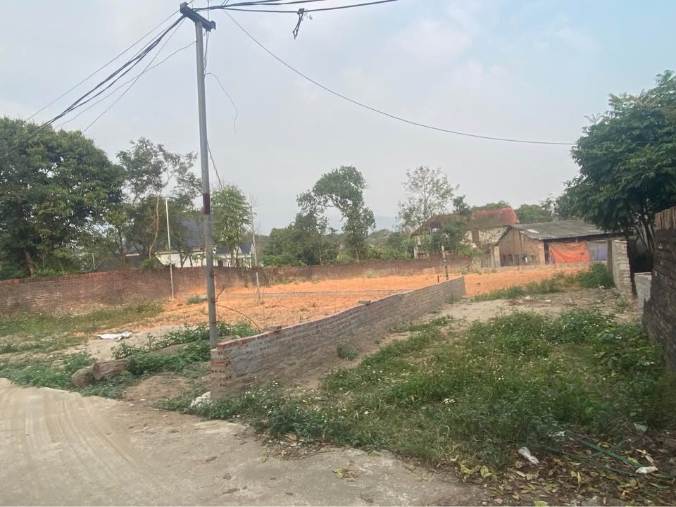 Đất nền 360m² xã Tam Quan, huyện Tam Đảo - Giá chỉ 999 triệu đồng!