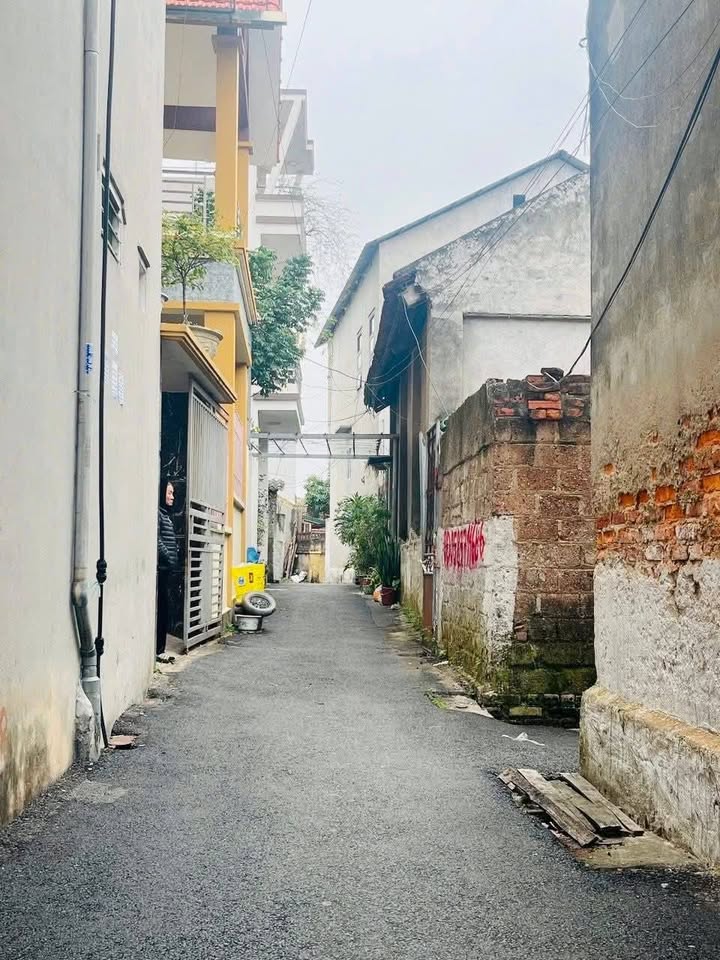 Lô đất đẹp Thôn Hạc Đình, Vĩnh Tường 129.6m² giá chỉ 1.4 tỷ - Đầu tư sinh lời!