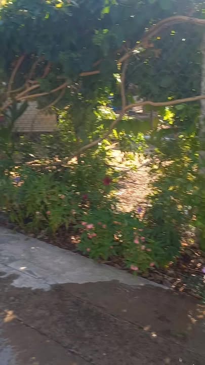 Đất nền 623m² tại xã Phước An, Nhơn Trạch - Giá chỉ 3.738 tỷ - Cơ hội đầu tư hấp dẫn!