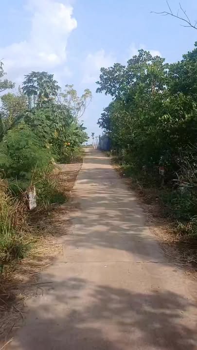 Đất nền xã Lâm San, huyện Cẩm Mỹ 360m² giá 585 triệu - Đường nhựa rộng rãi!