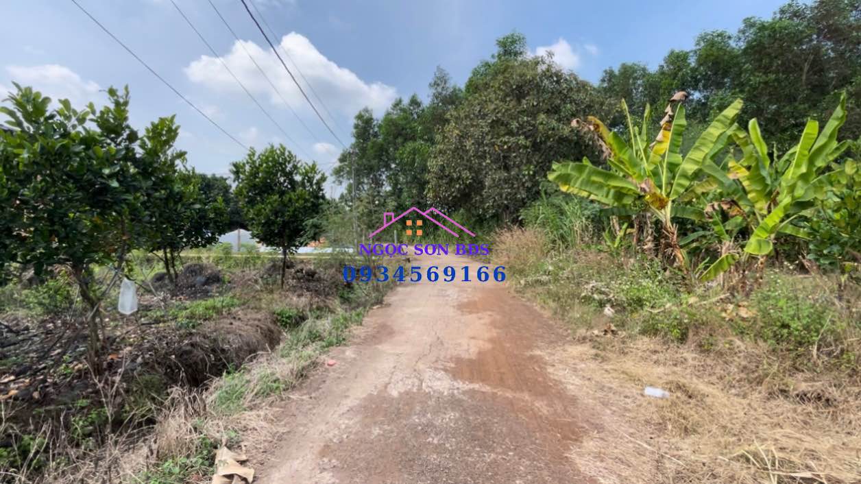 Đất nền xã Xuân Bắc 1500m² giá 1.05 tỷ - Đất bằng như sân banh