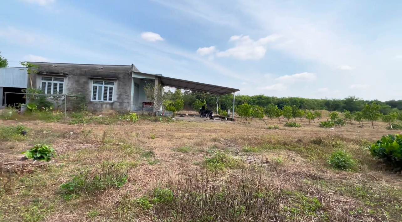 Đất nền 3000m² tại xã Xuân Bắc, Đồng Nai - Chỉ 1,9 tỷ, thổ cư 200m²