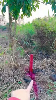 Đất nền 1.000m² tại ấp 7, Phú Tân, giá 390 triệu - Cơ hội đầu tư tuyệt vời!