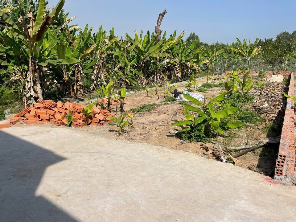 Đất ấp 4 Long Thọ, Nhơn Trạch 114m² giá 1.2 tỷ - Hạ tầng hoàn thiện, sổ đỏ chính chủ!