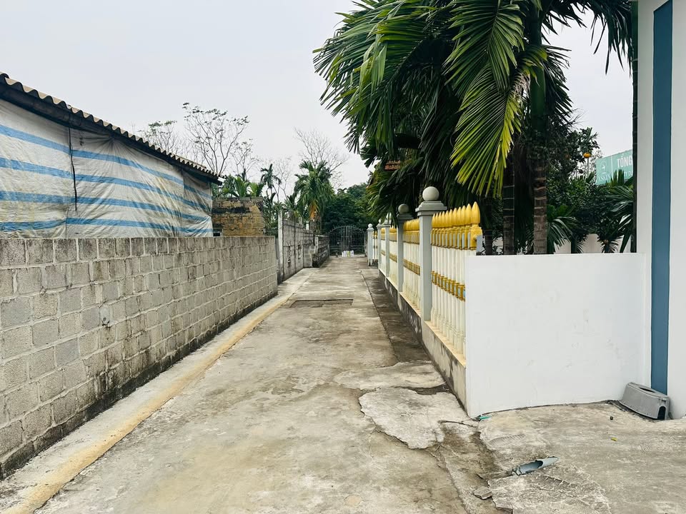 Đất nền Bình Nghĩa, Bình Lục, Hà Nam 240m² - Cơ hội vàng cho đầu tư!