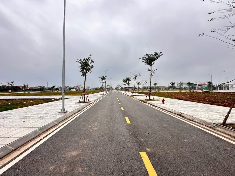 Đất nền Khu đô thị Hoàng Điệp, Duy Tiên 100m² giá 3 tỷ - Sổ hồng chính chủ!