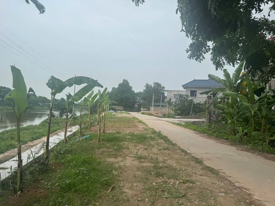 Đất nền trục đê đáy Bột Xuyên, Mỹ Đức 100m² giá 2 tỷ - Tiềm năng sinh lời cao!