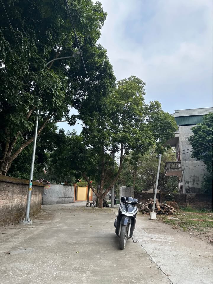 Đất nền Trạm Lộ Bắc Ninh 91m² giá 2.4 tỷ - Kết nối thuận lợi, kinh doanh sầm uất!