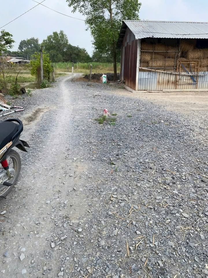 Đất thổ cư 125m² Nhơn Hòa, Đức Hòa giá chỉ 750 triệu - Đầu tư sinh lời ngay!