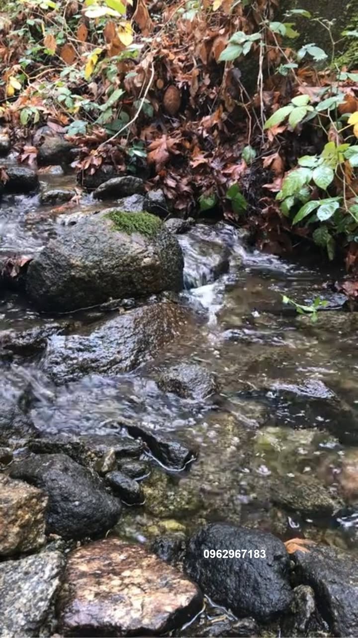 Đất vườn La Ngà 1009m² giá 860 triệu - Chủ bán trước Tết!