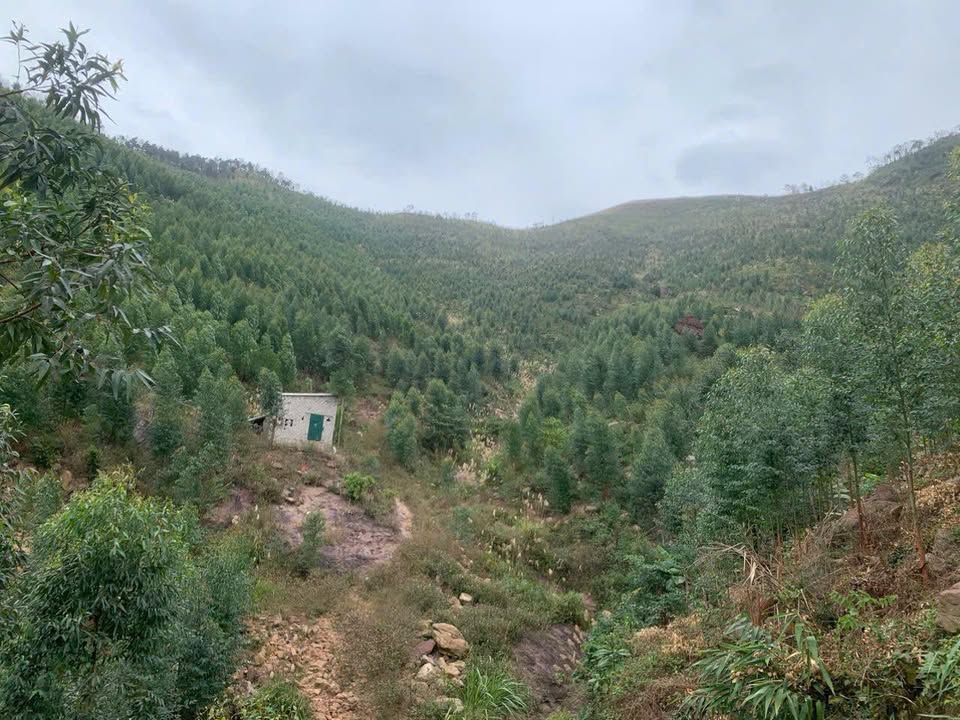 Đất Farm 20ha tại An Sinh, Đông Triều, Quảng Ninh - Giá chỉ 12 tỷ!