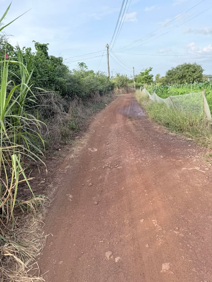 Đất thổ cư 1332m² tại Suối Nho, Huyện Định Quán, giá chỉ 1.3 tỷ - Sổ riêng chính chủ!