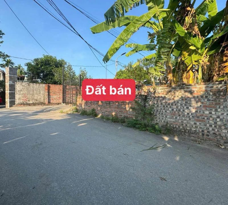 Đất thổ cư 162m² tại Thị trấn Hợp Châu, Tam Đảo - Đầu tư sinh lời chỉ 1.1 tỷ!