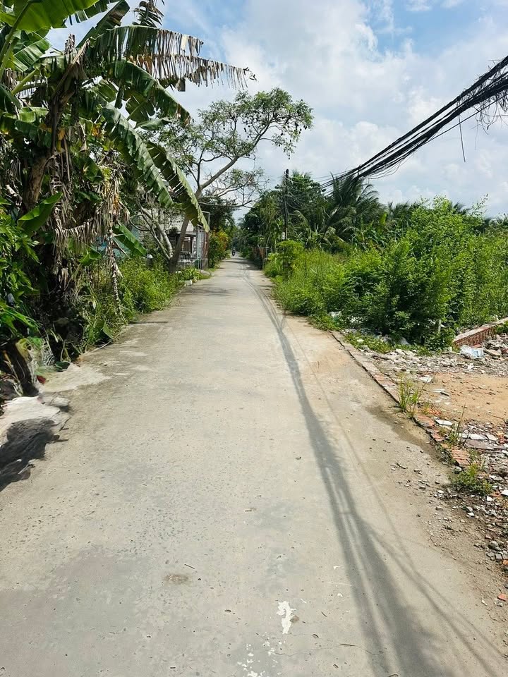 Đất nền hẻm 61 Phạm Ngọc Hưng, An Thới, 116m² - Giá chỉ 1.1 tỷ!