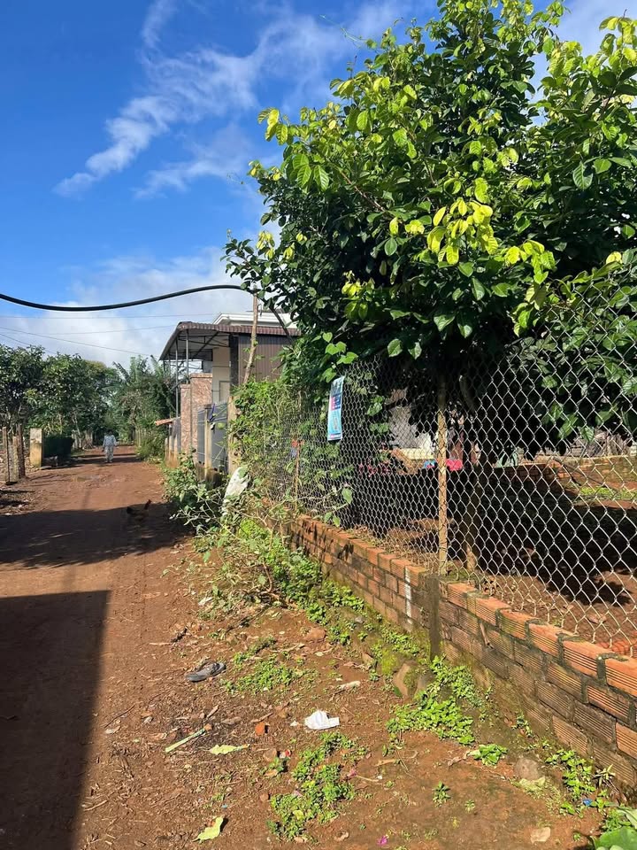 Đất nền tại Thị trấn Phước An 110m² giá chỉ 350 triệu - Đầu tư sinh lời ngay!