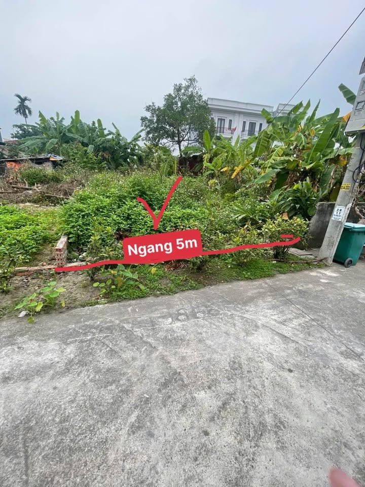 Đất nền Lương Quy, An Dương 67m² giá chỉ 1.6 tỷ - Ô tô vào tận cửa!