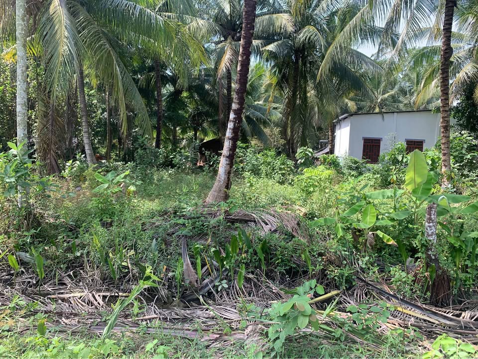 Đất nền 100m² mặt tiền đường bê tông xã Châu Điền - Giá chỉ 120 triệu