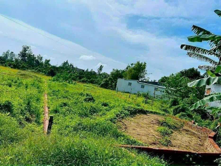 Đất nền 300m² mặt tiền Tỉnh Lộ 943 - Chỉ 1 tỷ, cơ hội đầu tư tuyệt vời!