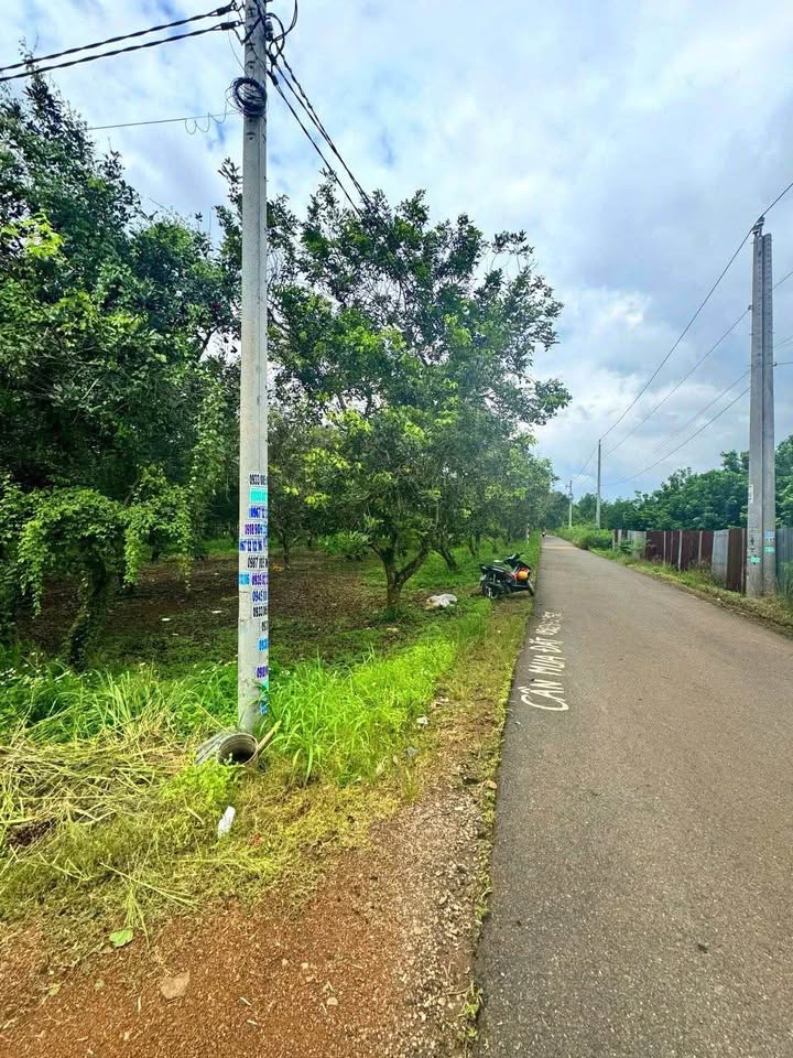 Đất vườn 360m² mặt tiền nhựa 12m tại Sông Thao, Trảng Bom - Giá chỉ 1 tỷ!