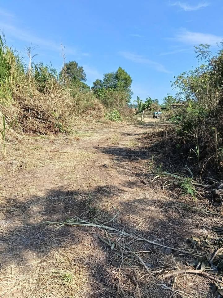 Đất nền 1600m² xã Sông Thao, Trảng Bom chỉ 490 triệu - Cơ hội đầu tư vàng!