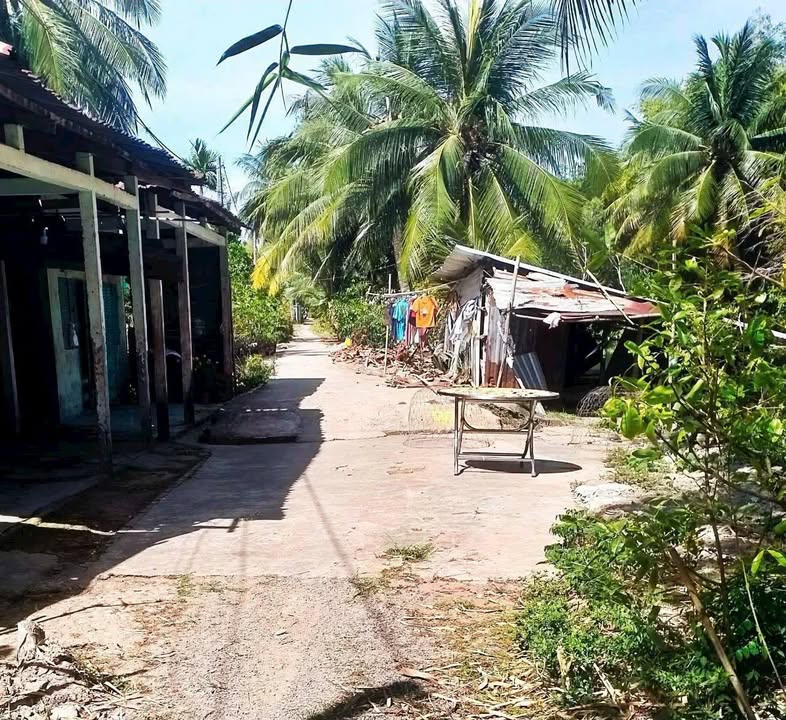 Đất nền 10220m² tại Ấp Thắng Mỹ, Xã Phụng Hiệp, giá chỉ 1.65 tỷ - Cơ hội đầu tư tuyệt vời!