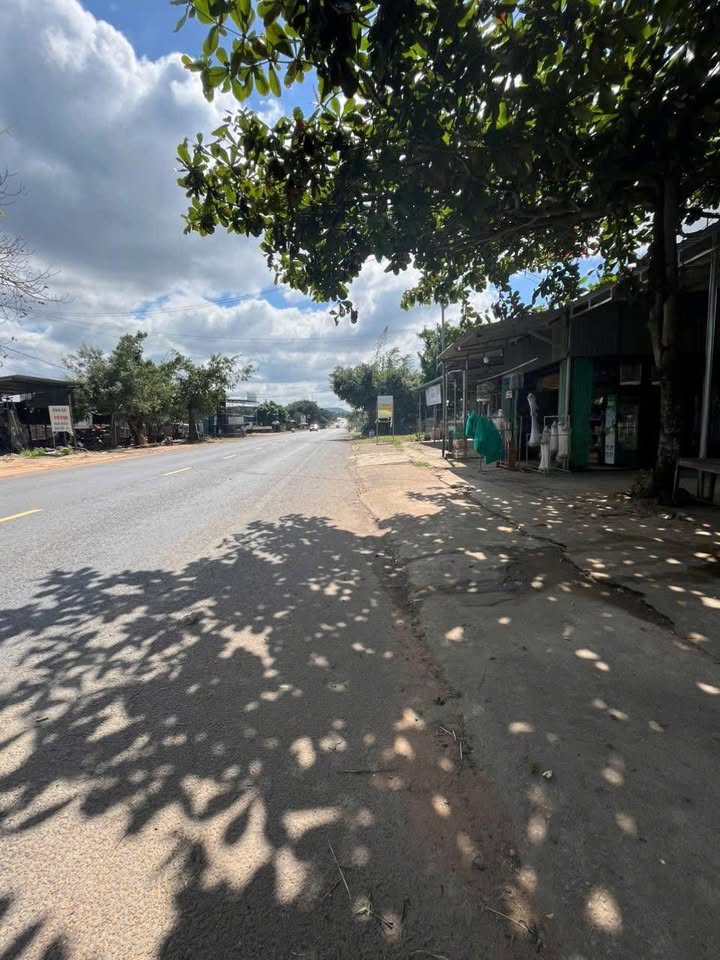 Đất nền 900m² Quốc lộ 14, xã Ea H'leo chỉ 3.1 tỷ - Đầu tư sinh lời ngay!