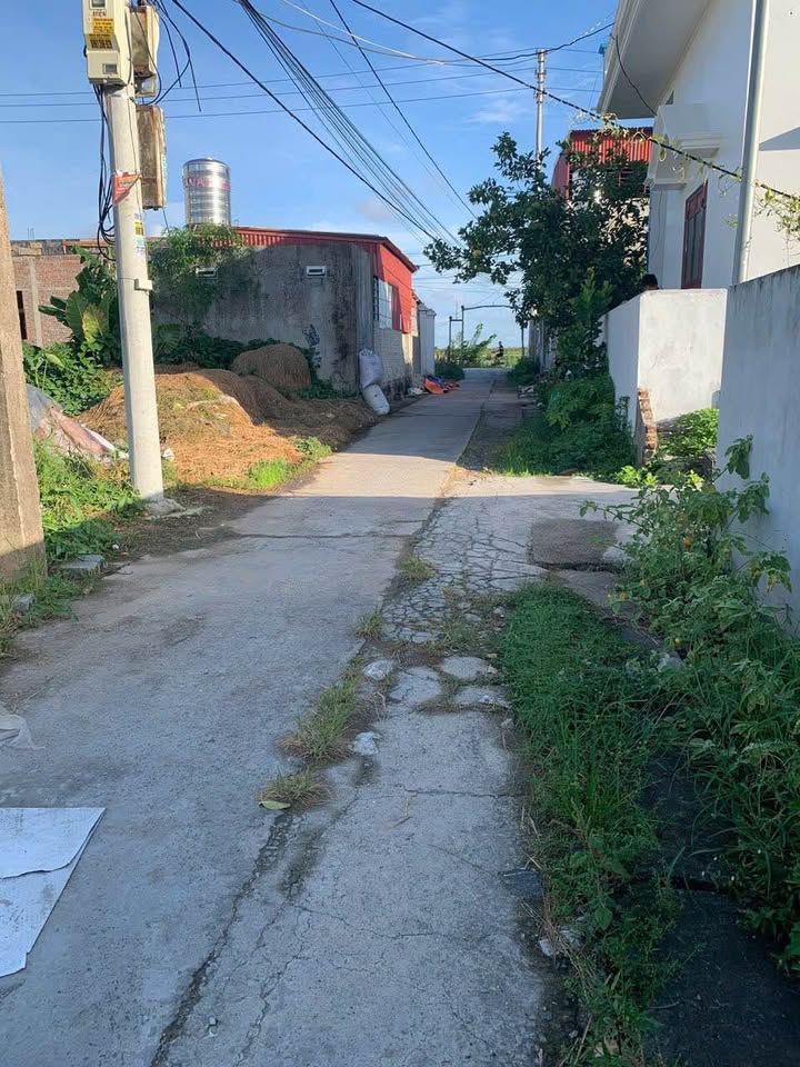 Đất nền Tân Trào Hải Phòng 111,5m² giá thỏa thuận - Cơ hội đầu tư hấp dẫn!