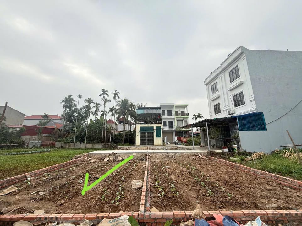 Đất nền Tràng Cát Hải Phòng 40m² giá 1.25 tỷ - Sát trường học và dự án trọng điểm!