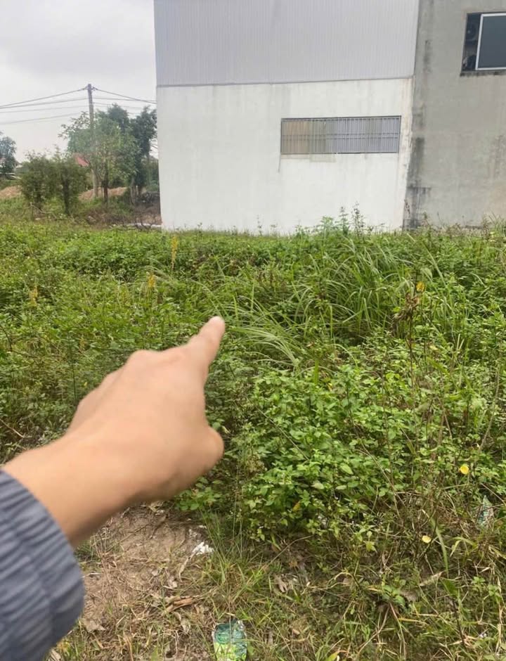 Đất nền Khu đô thị Đại Thành, Nghi Kim, 112m² giá 3 tỷ - Diện tích rộng, hướng Tây Nam!