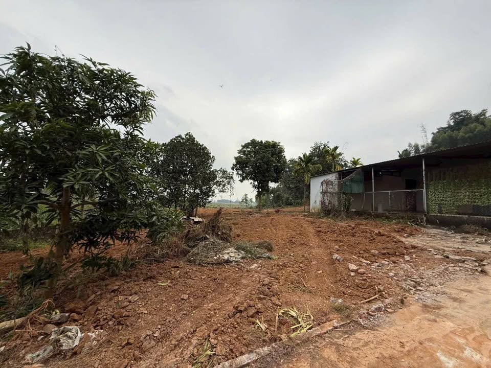 Đất ở Xã Tu Vũ, Huyện Thanh Thủy 791m² giá 1 tỷ - Sẵn sàng vào ở ngay!