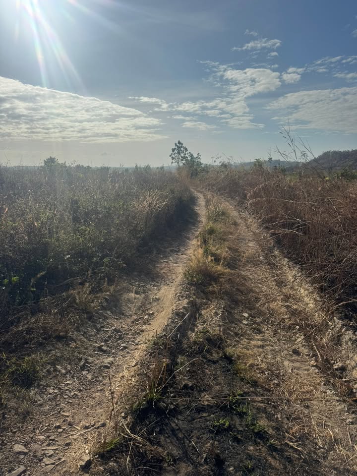 Đất nông nghiệp xã Ea Lê, Huyện Ea Súp, Đắk Lắk 9ha giá 405 triệu - Cơ hội đầu tư hấp dẫn!