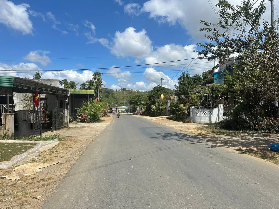 Đất mặt tiền Tỉnh lộ 2, Bình Tân 300m² - Cơ hội kinh doanh vàng!