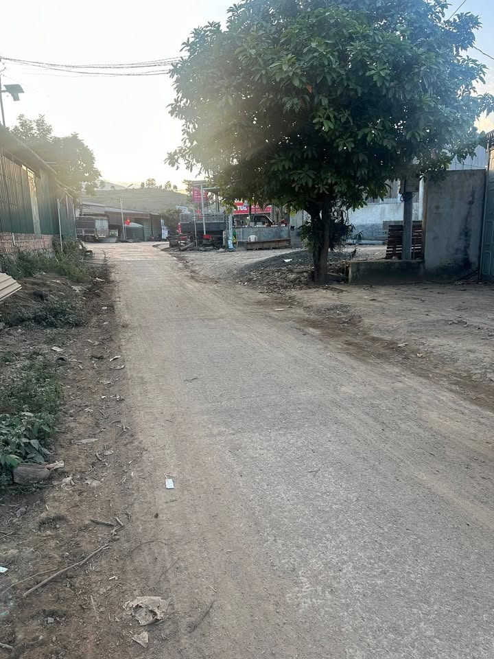 Đất thổ cư 350m² tại xã Cư Drăm, Krông Bông - Chính chủ, giá chỉ từ 700 triệu!