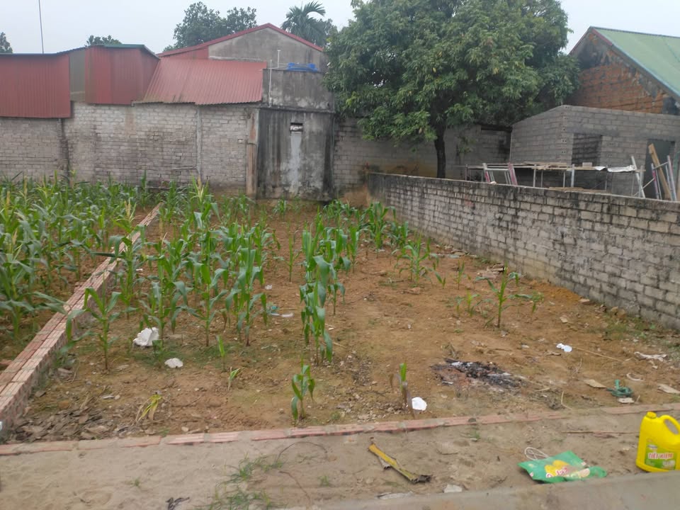 Đất thổ cư 100m² xã Sơn Đông - Giá hiếm 1,7 tỷ - Đầu tư sinh lời!