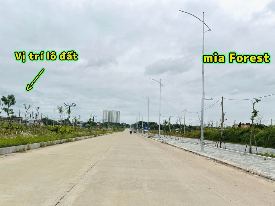 Đất nền Mia Forest Thái Nguyên 153m² giá 5 tỷ - Lô góc 2 mặt tiền chính chủ!
