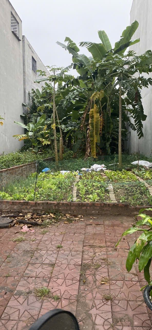 Đất nền phố Ngô Miễn, Đồng Tâm, Vĩnh Yên 100m² giá 2.9 tỷ - Đối diện công viên