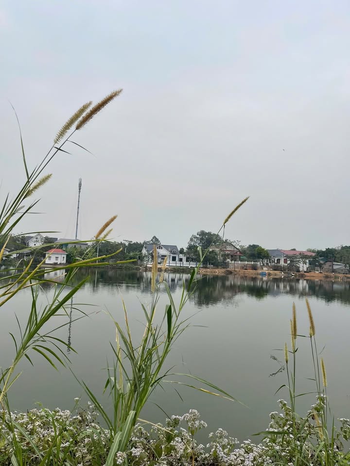 Đất doanh nghiệp 5ha Xã Vĩnh Thịnh, Huyện Vĩnh Tường - View hồ đẹp hiếm có chỉ 50-59 tỷ