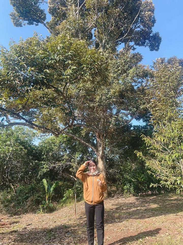 Đất Farm 3348m² tại Lộc Điền, Bình Phước giá chỉ 1 tỷ - Đầu tư sinh lời hấp dẫn!