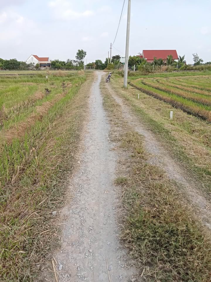 Đất nền Thị trấn Hậu Nghĩa 170m² giá 630 triệu - Đường thông thoáng, pháp lý rõ ràng!