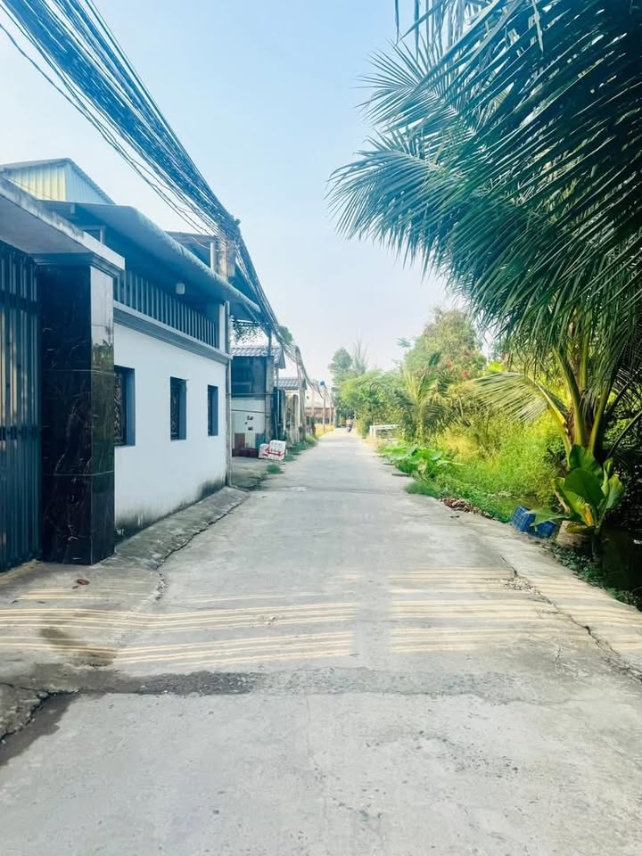 Đất thổ cư Mỹ Lộc, Cần Giuộc 91m² giá 700 triệu - Đường xe hơi vào tận nơi!