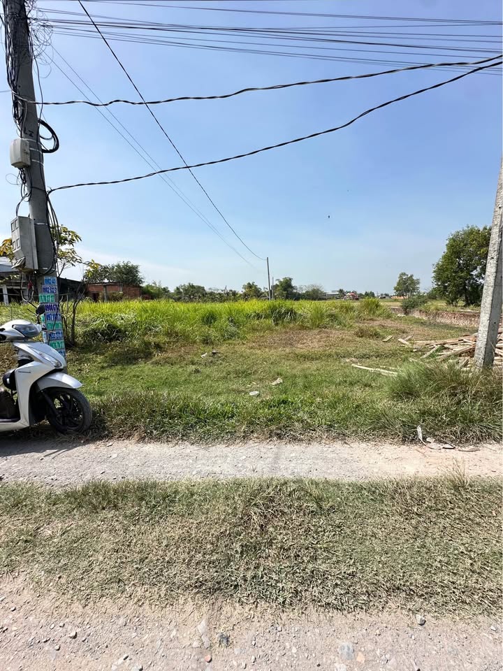 Đất thổ cư 185m² tại xã Mỹ Hạnh Nam, giá chỉ 1.05 tỷ - Sổ hồng chính chủ!