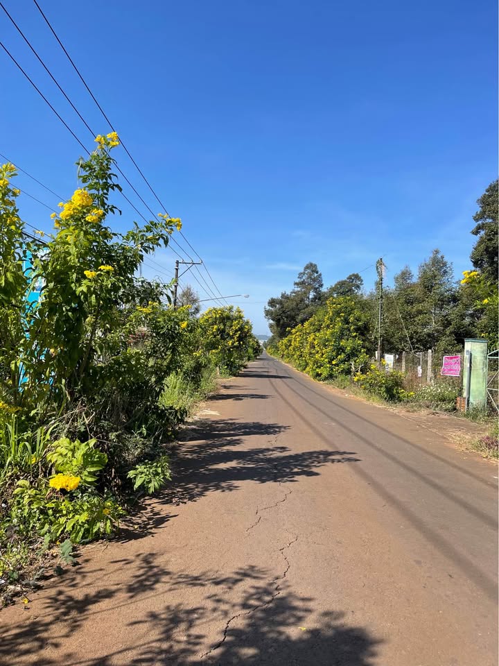 Đất nền tại Bình Lộc, Long Khánh 97m² giá 880 triệu - Sổ riêng thổ cư 100%!