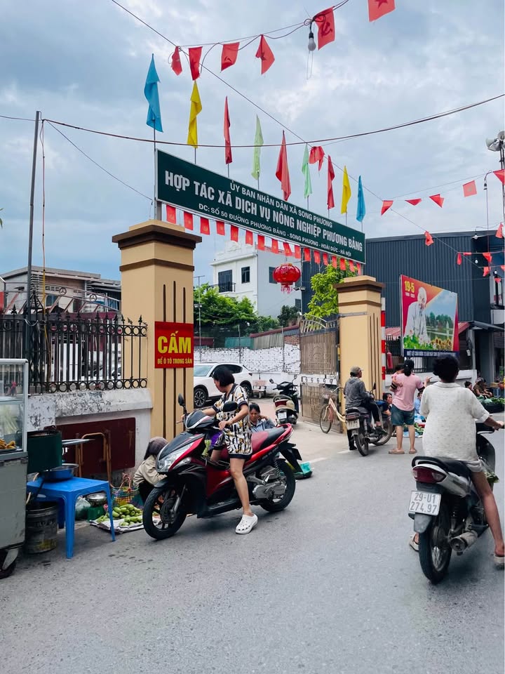 Đất thổ cư 52m² tại Tái định cư An Thọ, Hoài Đức - Giá chỉ 4 tỷ, sở hữu ngay!