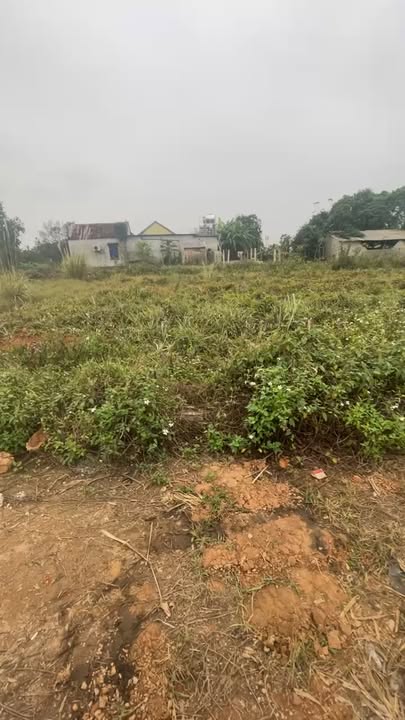 Đất thổ cư Tân Thắng, Hàm Tân, 184m² giá 320 triệu - Cắt lỗ cực sốc!